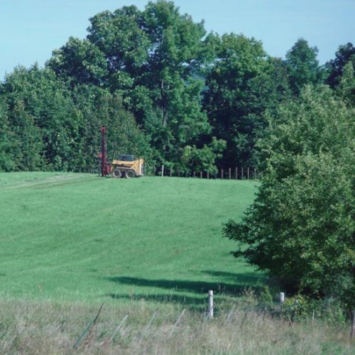 Savanna Restoration Series: Part 2